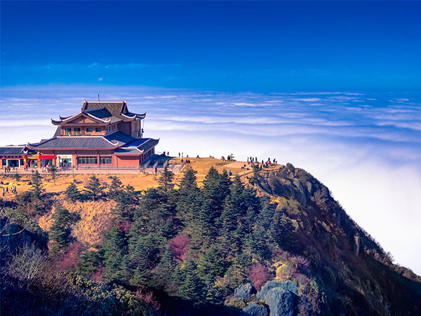 CH 5 Días a Chengdu & Mt. Emei